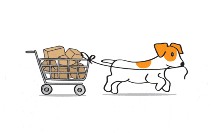 How to Establish Your Ecommerce Business